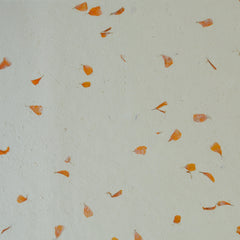 Munro and Kerr real marigold petal paper for a handmade lampshade